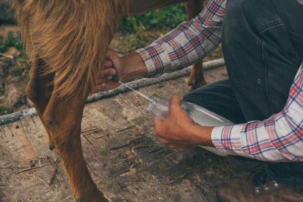 Natura-Eco Farm Екстериор снимка